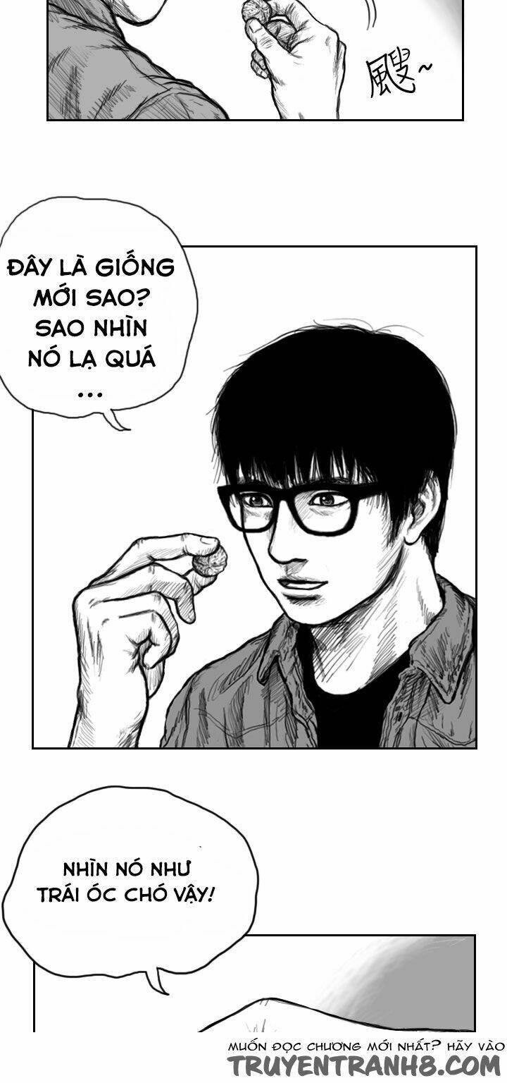 Hạt Giống Mỹ Nhân: Chapter 1