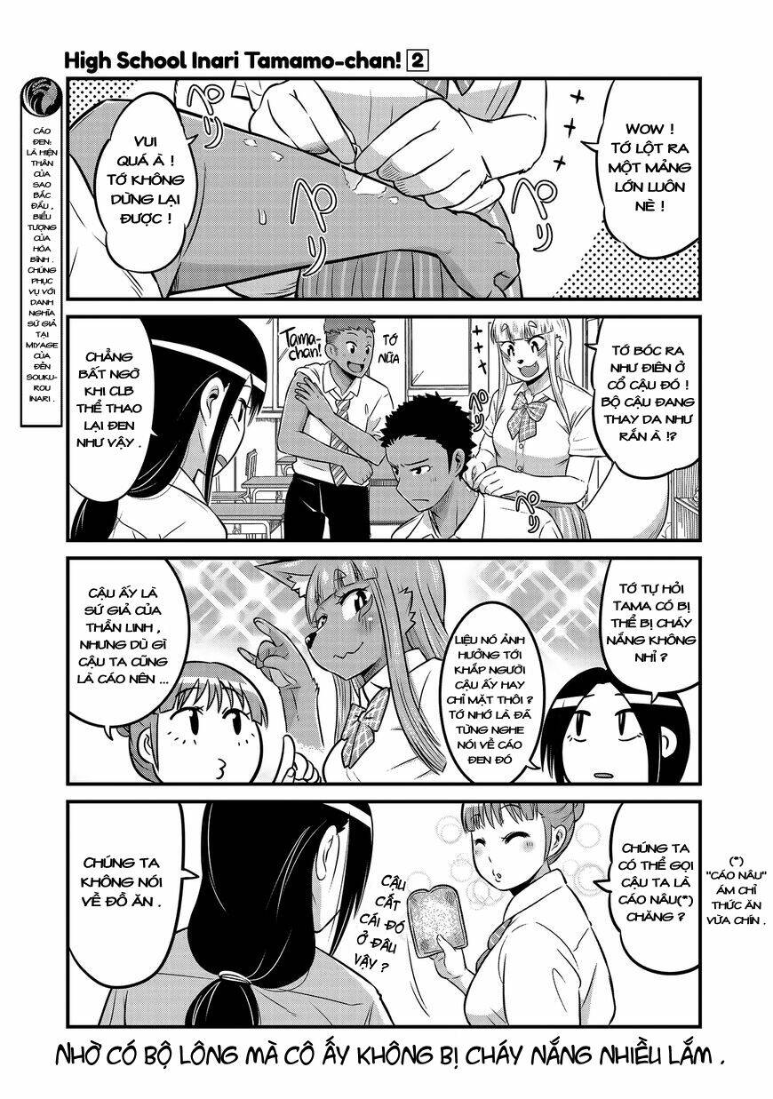High School Inari Tamamo-Chan: Chapter 16