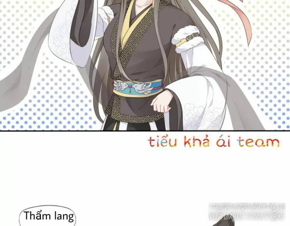 Tước Kiều Tiên: Chapter 3.1