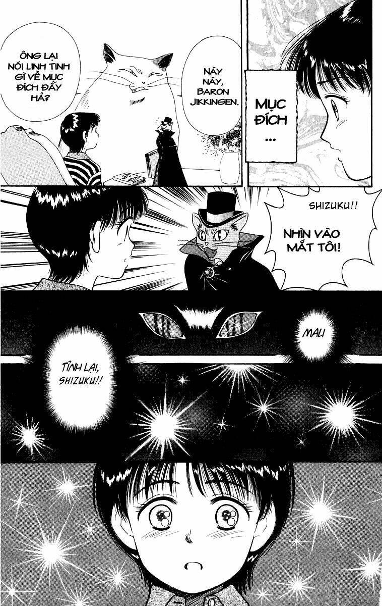 Lời Thì Thầm Từ Trái Tim: Chapter 5
