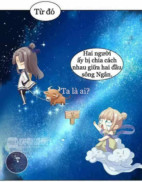 Dưới Móng Vuốt Mèo: Chapter 9
