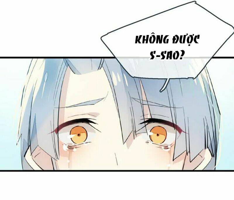 Sư Phụ Lại Trêu Chọc Ta: Chapter 40