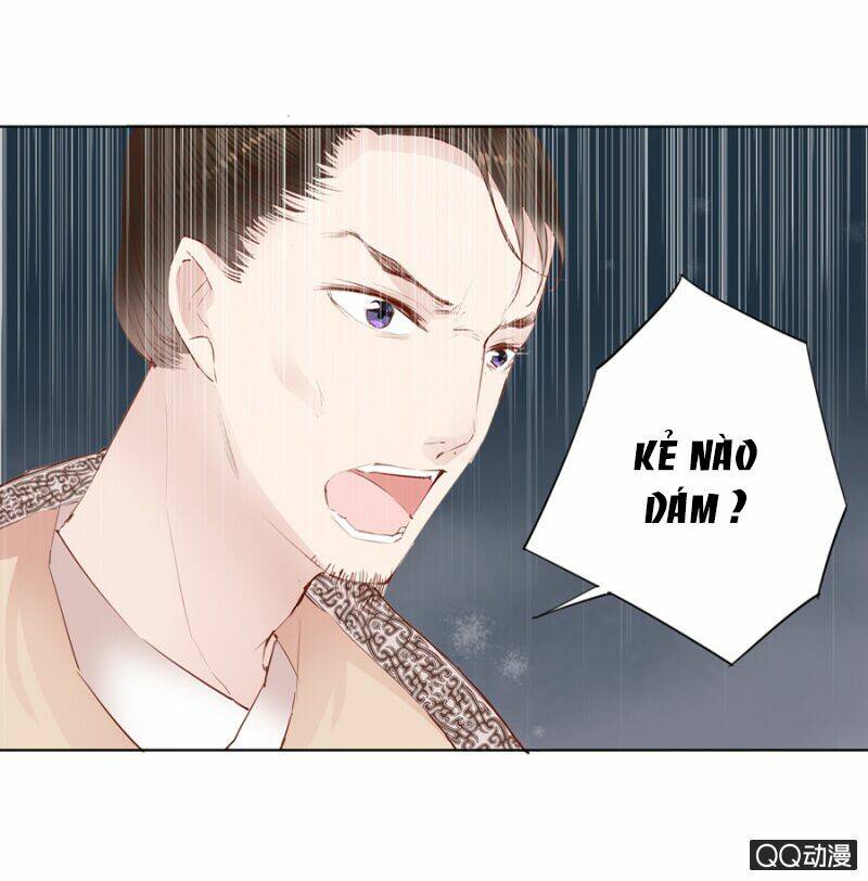 Solo Đi Vương Gia: Chapter 11