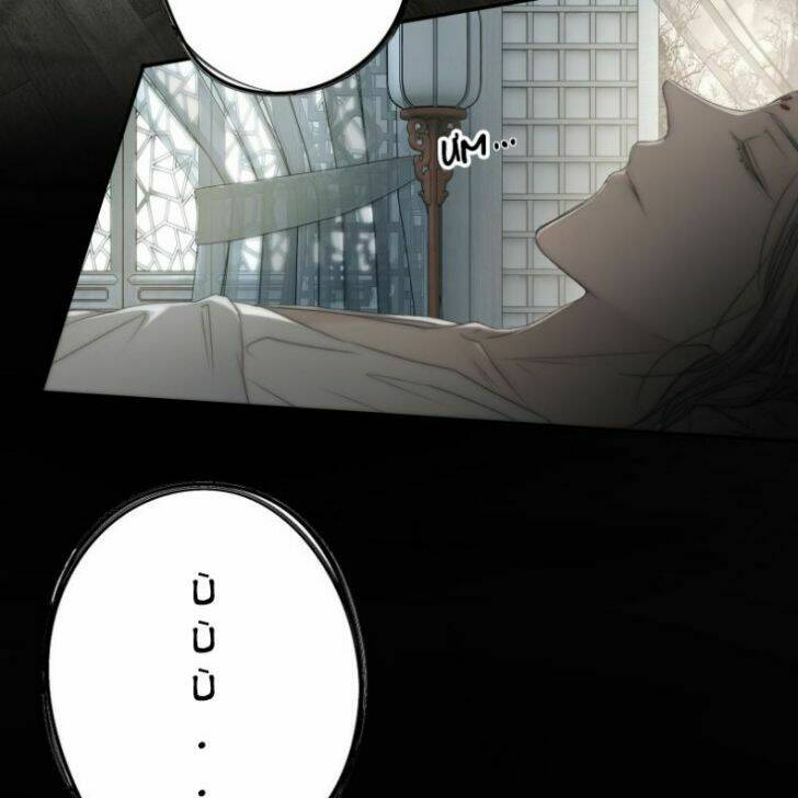 Nguyệt Trụy Trọng Minh: Chapter 19