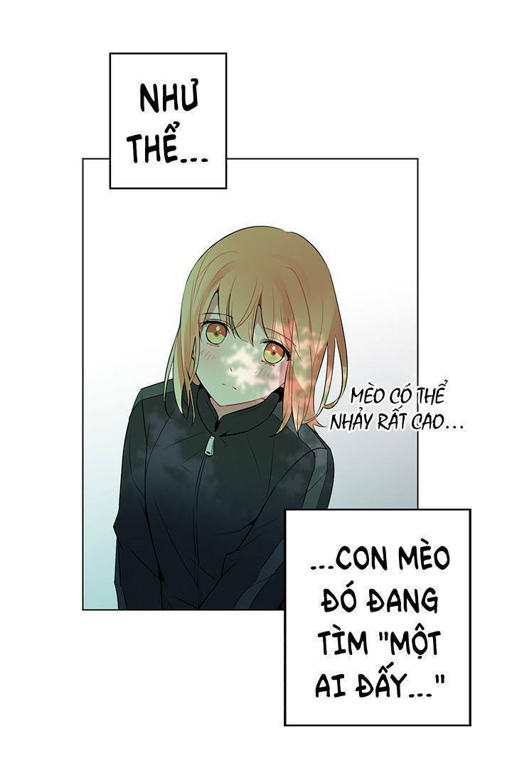 Cô Dâu Của Miêu Hoàng Tử: Chapter 3