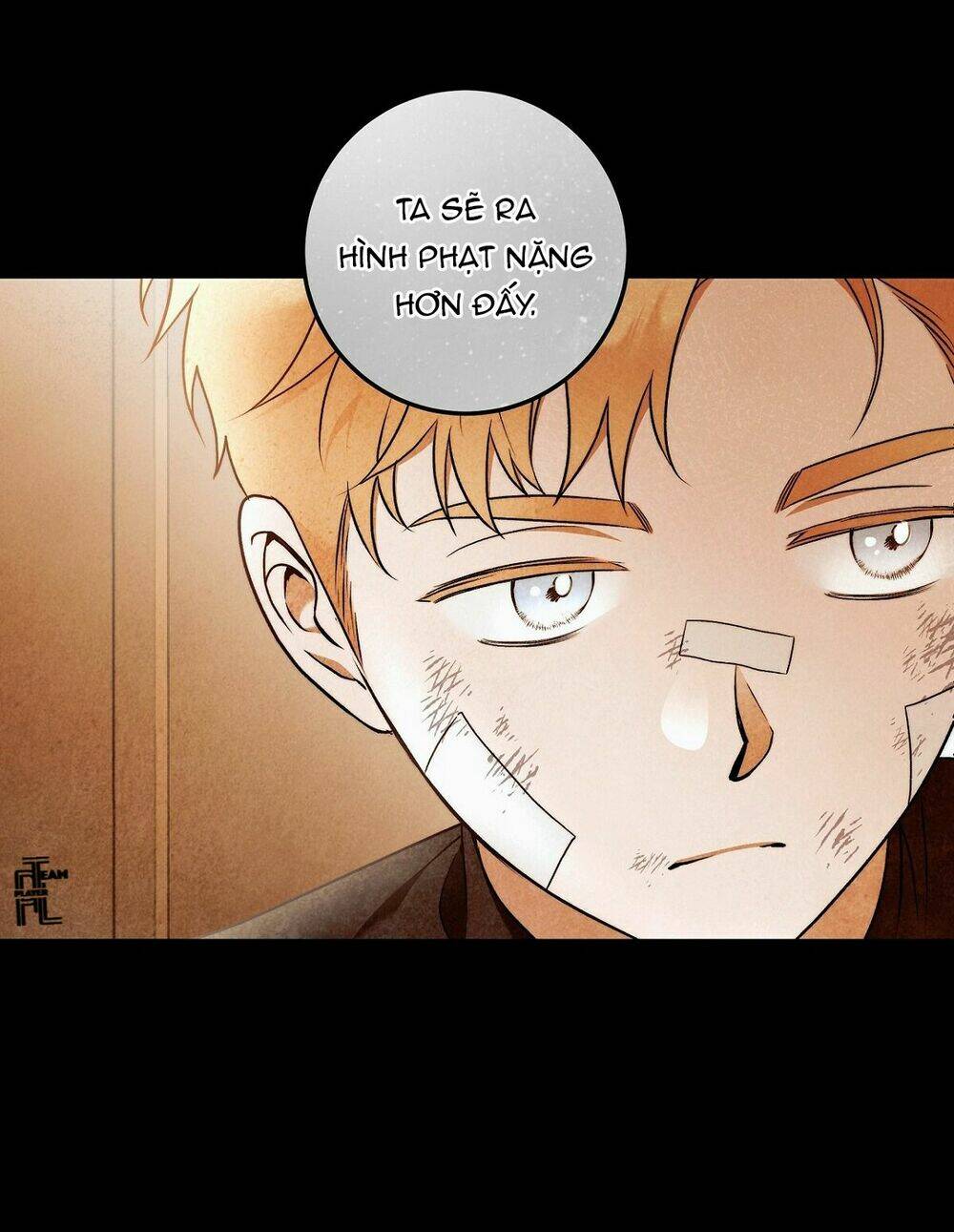 Lời Nói Dối Vĩnh Cửu: Chapter 29