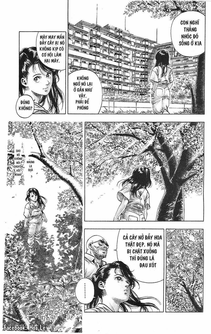 Cô Bé Mặt Trời: Chapter 1