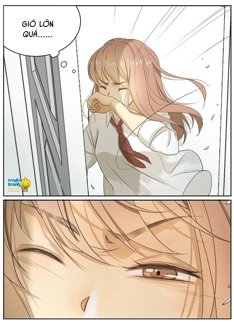 Cứu mạng ! Loài mèo thống trị thế giới rồi !: Chapter 8