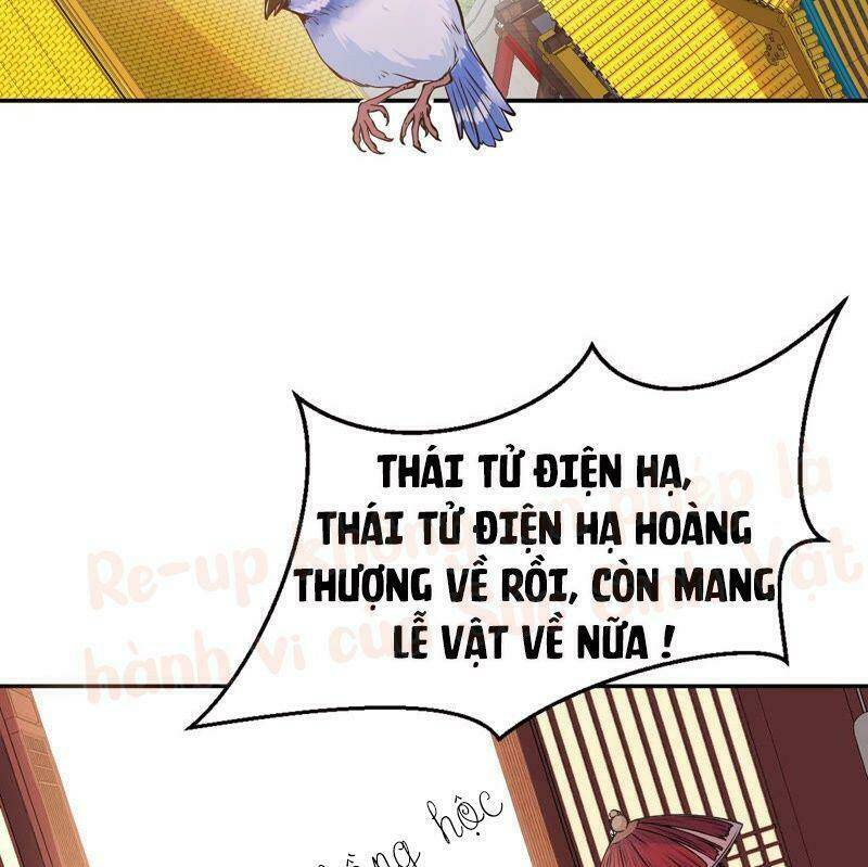 Quận Chúa Vững Vàng, Thiết Lập Nhân Vật Không Thể Vỡ: Chapter 3