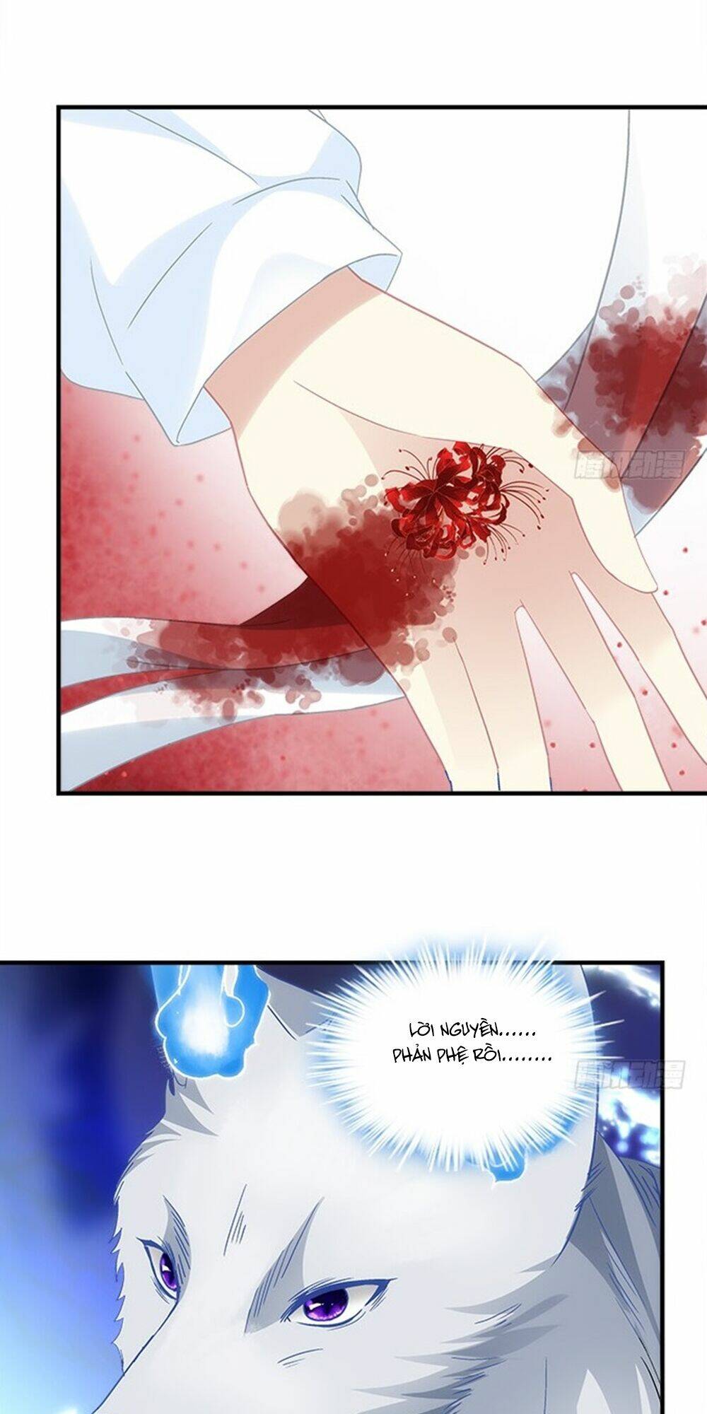 Ám Dạ Vô Thường: Chapter 70