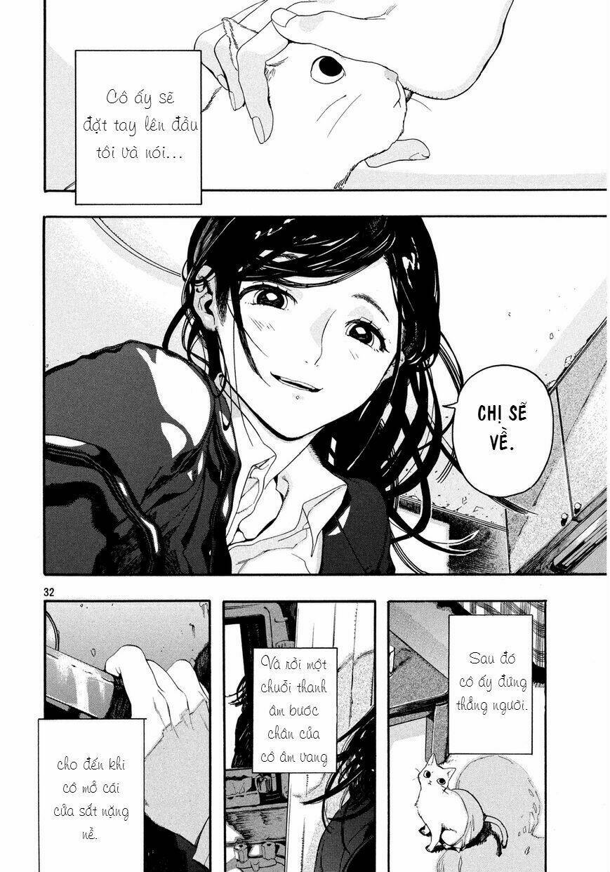 Chú Mèo Và Cô Chủ: Chapter 1