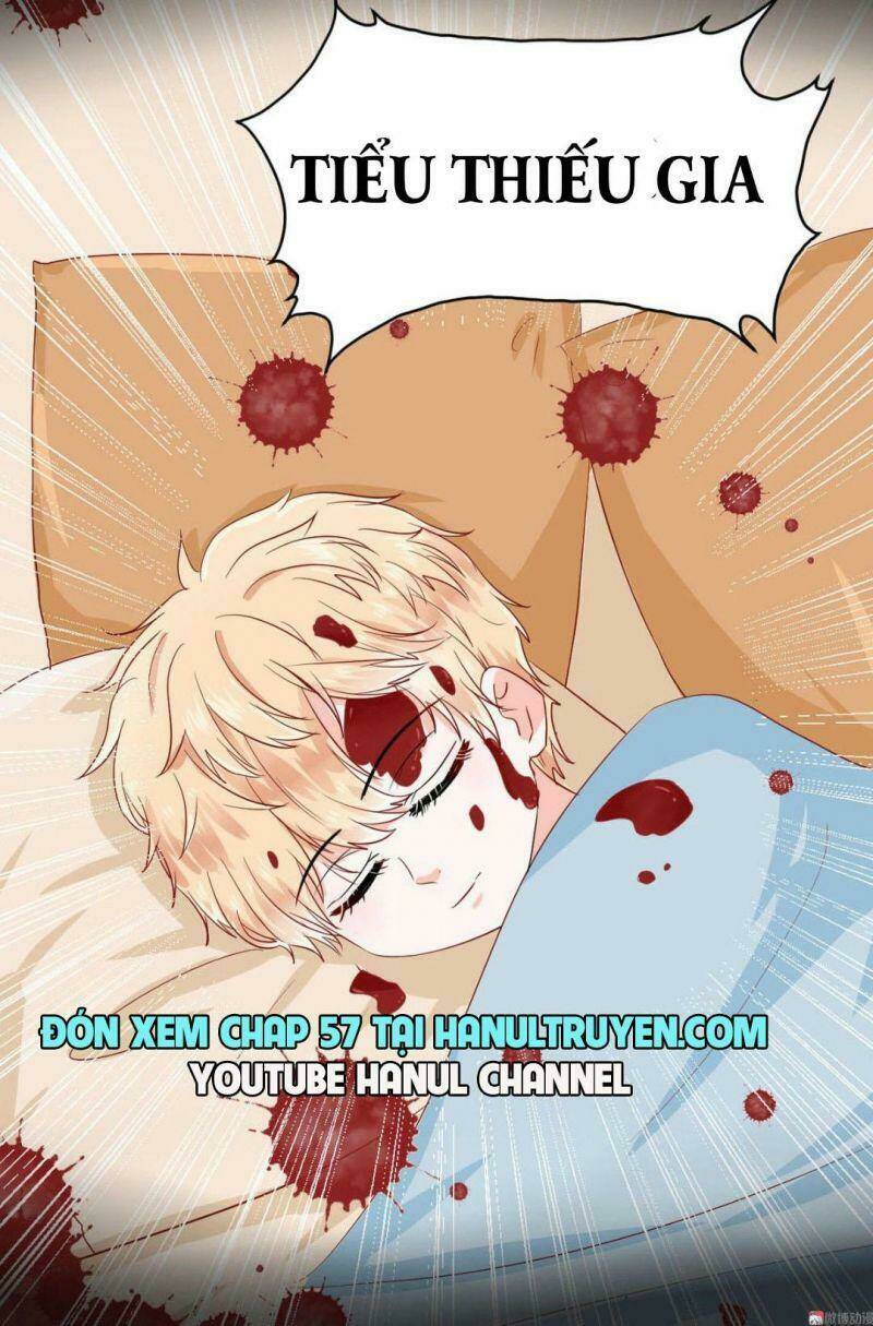 Lăng Thiếu! Nhẹ Một Chút, Đau: Chapter 56