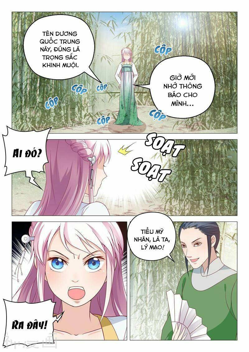 Dương Quý Phi Là Lính Đặc Chủng: Chapter 9