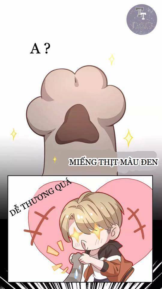 Dưới Móng Vuốt Mèo: Chapter 19