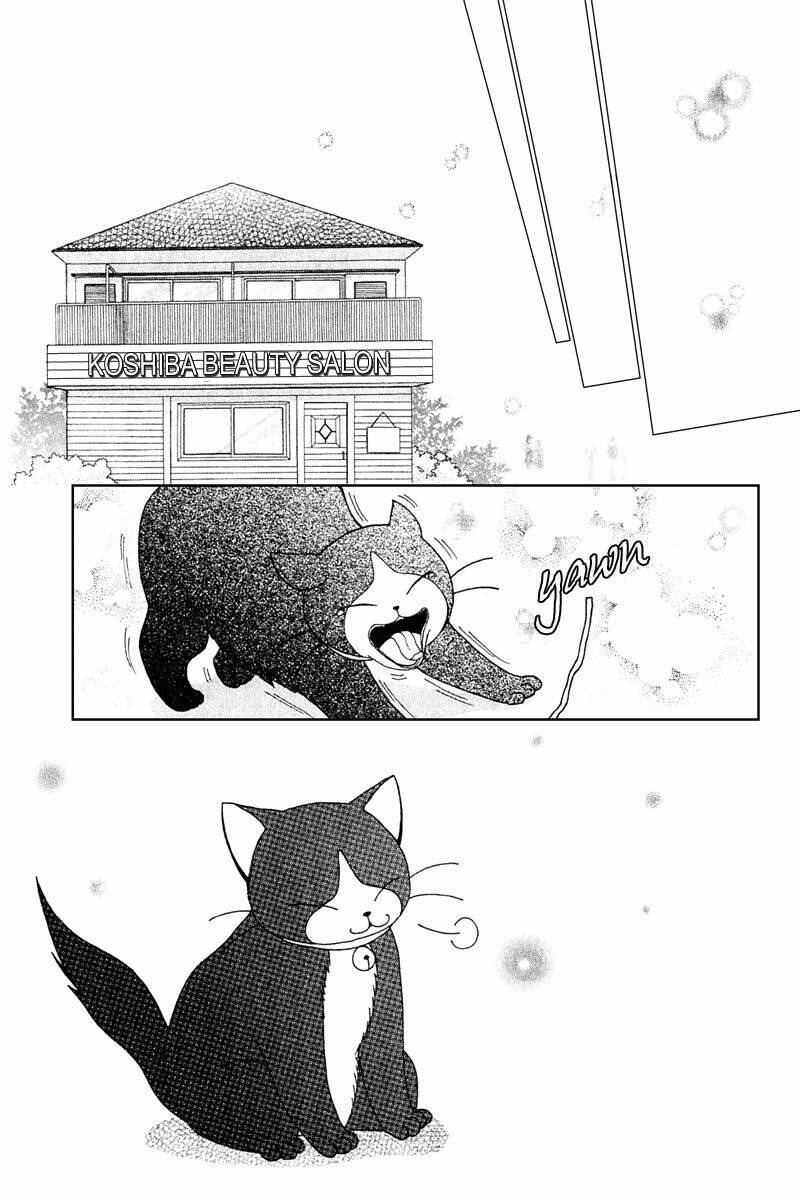 Dự Án Kéo Vàng: Chapter 11