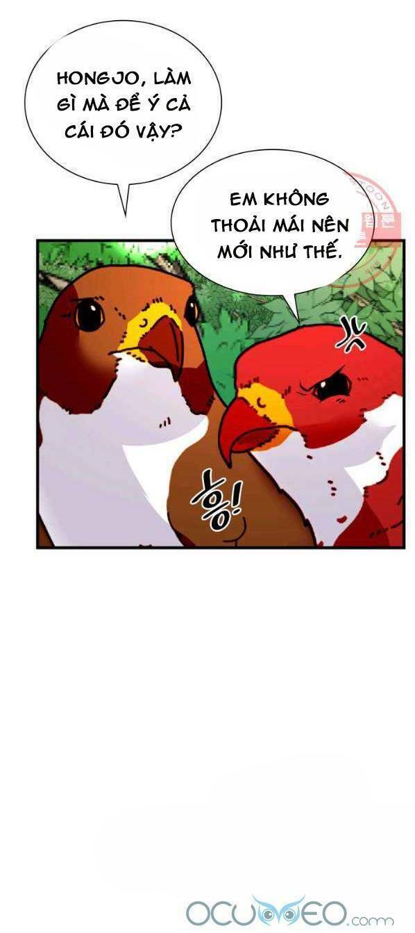 Cô Dâu Của Sói Đen: Chapter 14