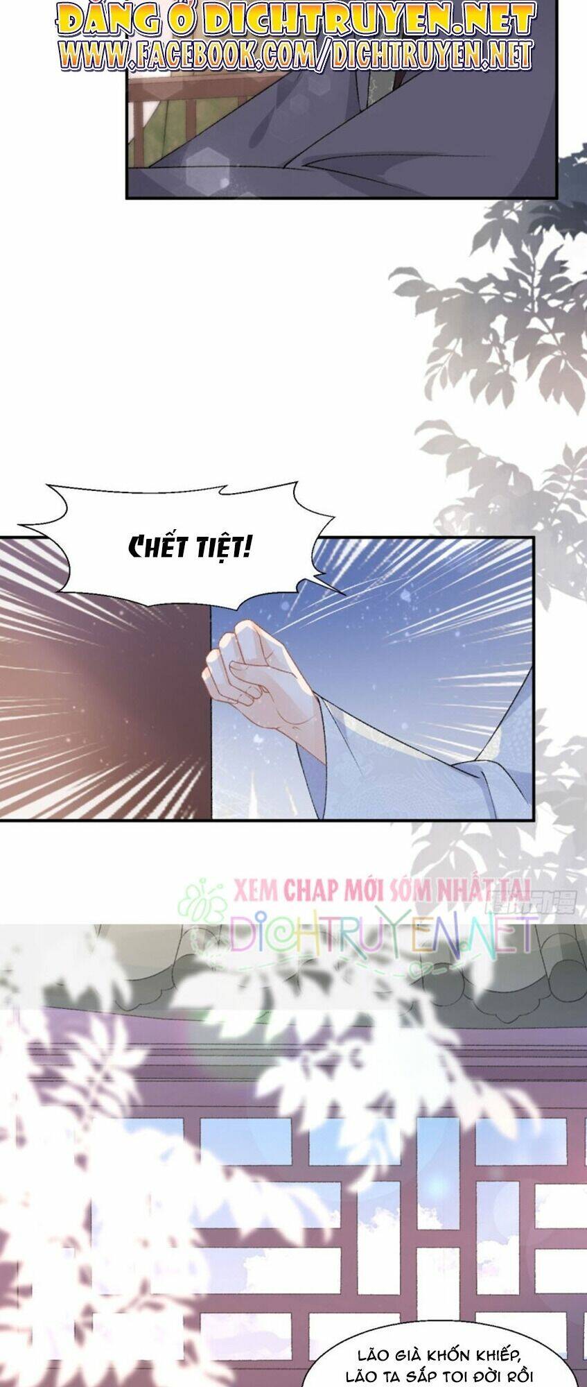 Tang Lạc Túy Tại Nam Phong Lý: Chapter 47
