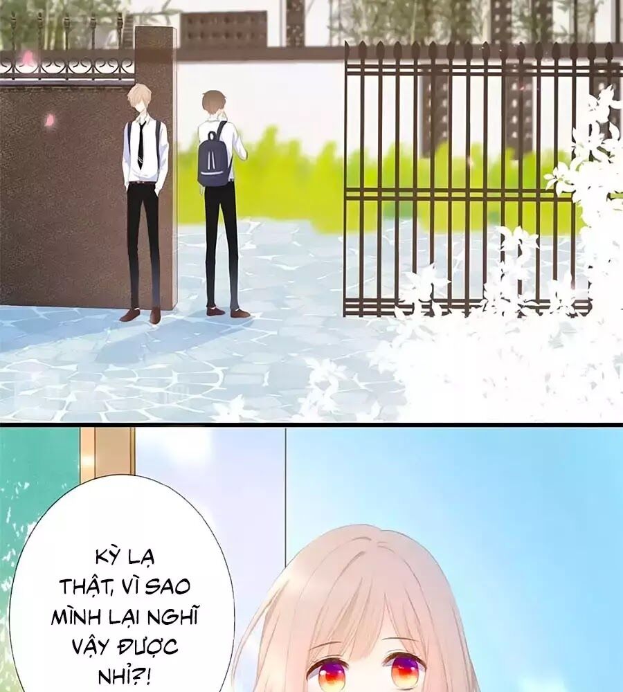 Hoa Chưa Nở Rộ: Chapter 15