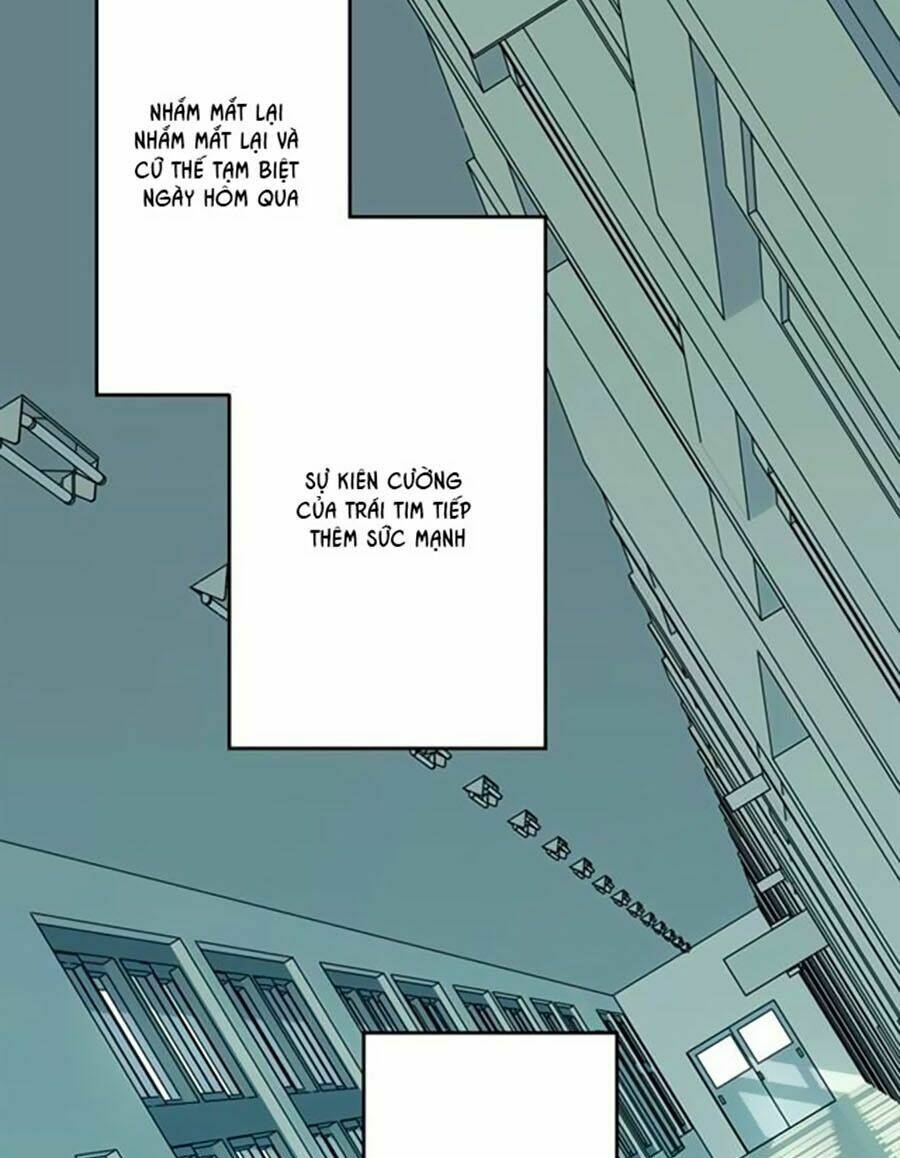 Bài Hát Tình Yêu: Chapter 8