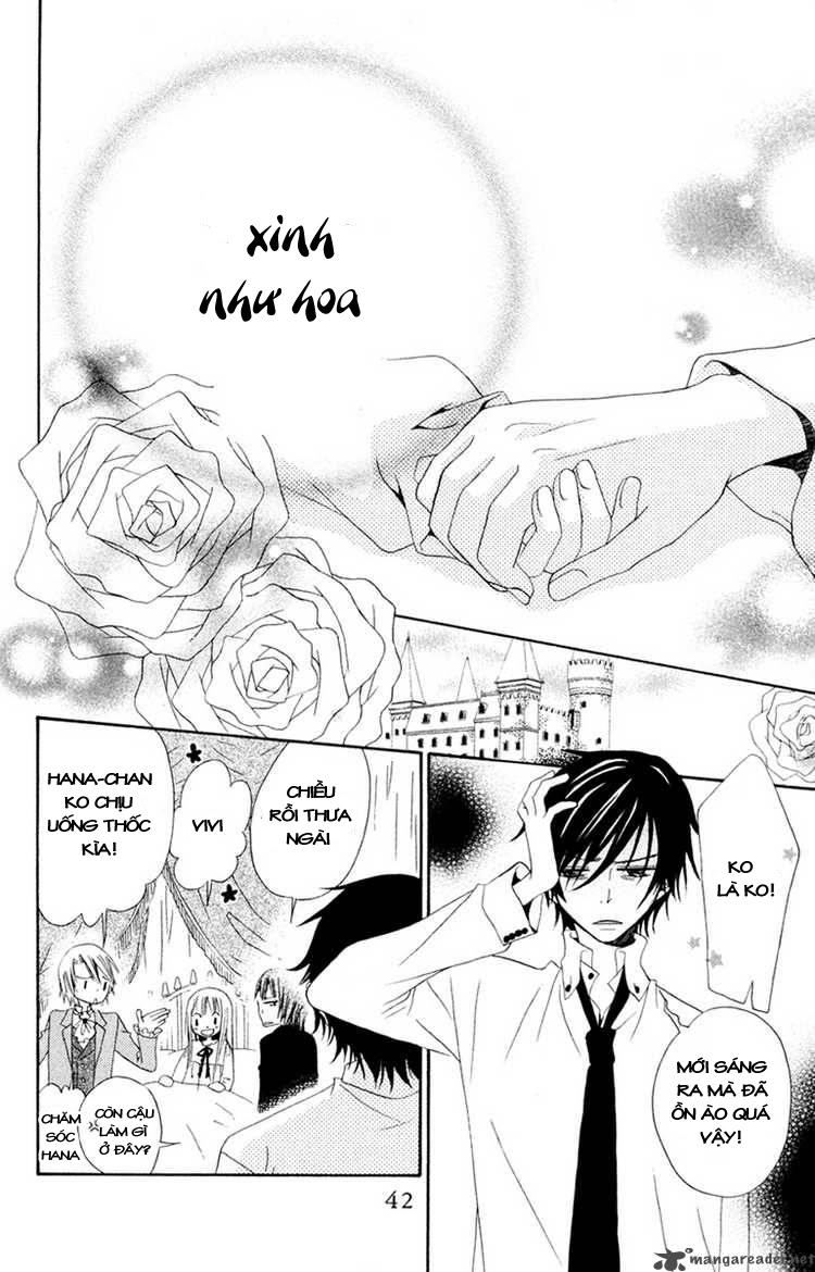 Hoa Và Ác Ma: Chapter 1