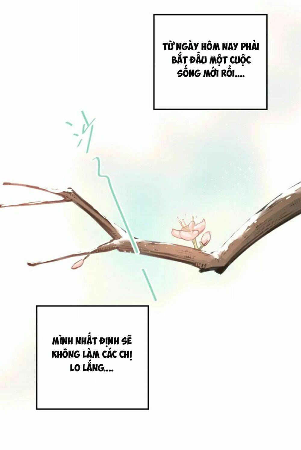 Đầu Gấu Biết Yêu: Chapter 40