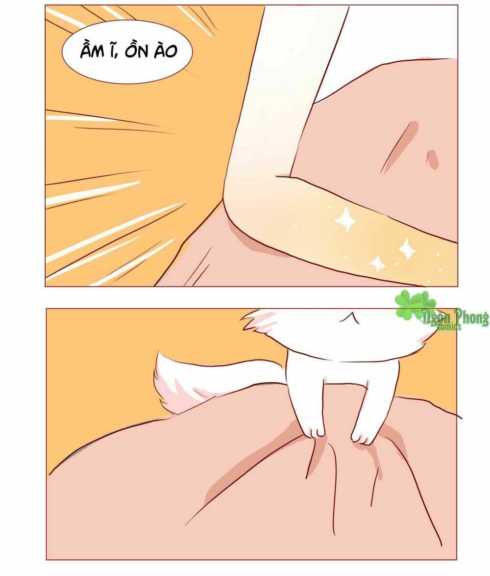 Mẫu Phi Đuôi Của Người Lộ Ra Rồi Kìa: Chapter 42