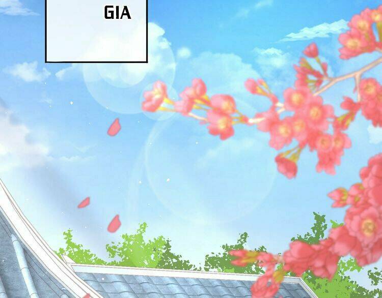 Báo Cáo Vương Gia, Vương Phi Là Một Con Mèo: Chapter 4