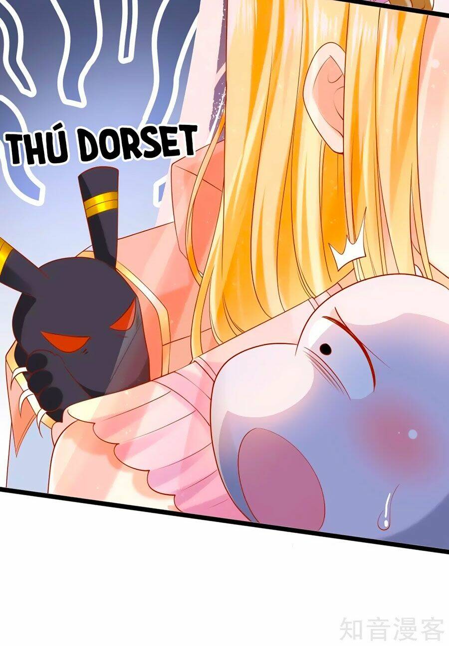 Sủng Hậu Của Vương: Chapter 42