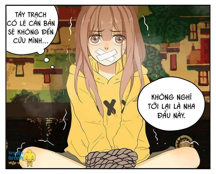 Cứu mạng ! Loài mèo thống trị thế giới rồi !: Chapter 18