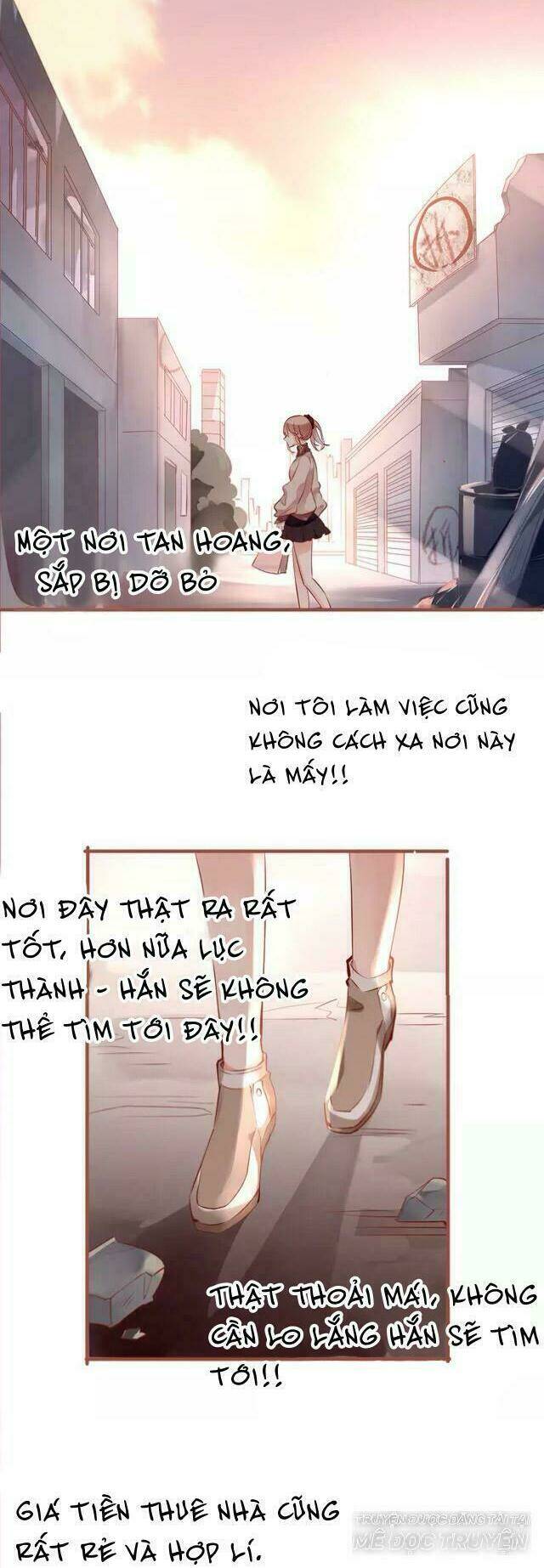 Hoa Hồng Trên Gai: Chapter 19