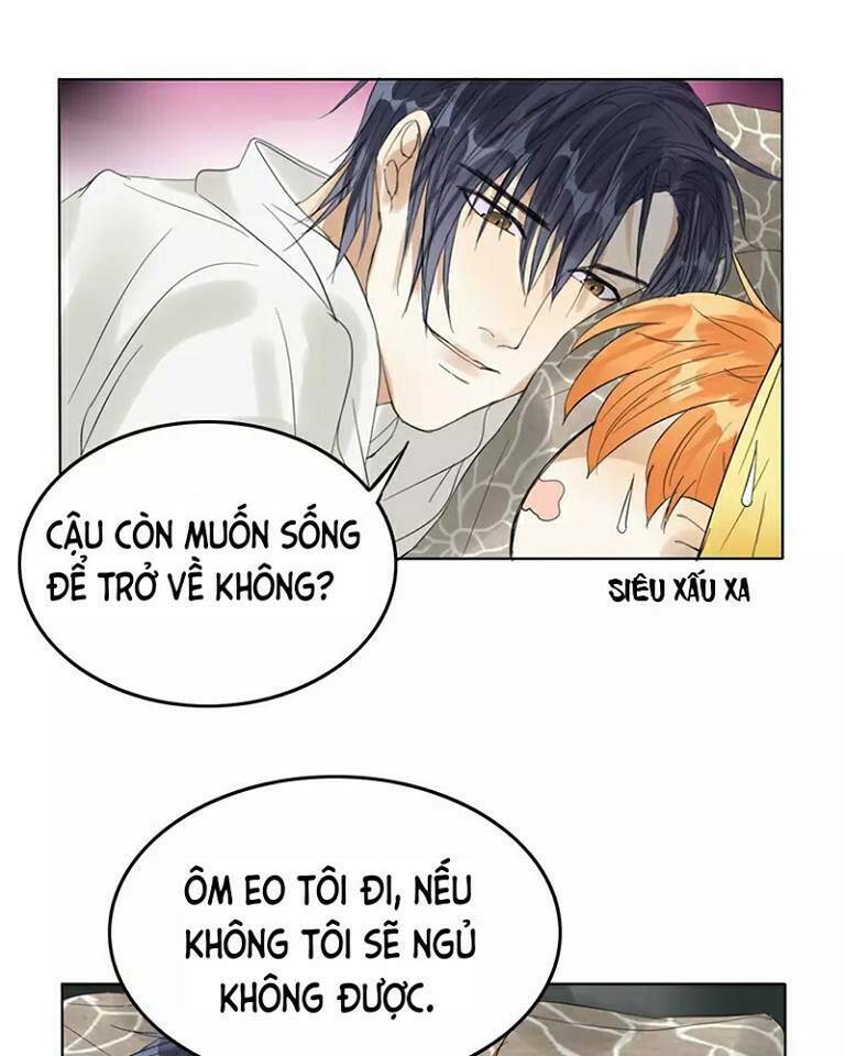 Trẫm Không Phải Là Đại Minh Tinh: Chapter 8