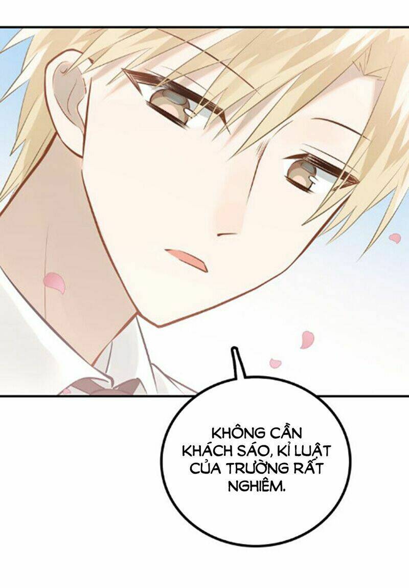 Đầu Gấu Biết Yêu: Chapter 103