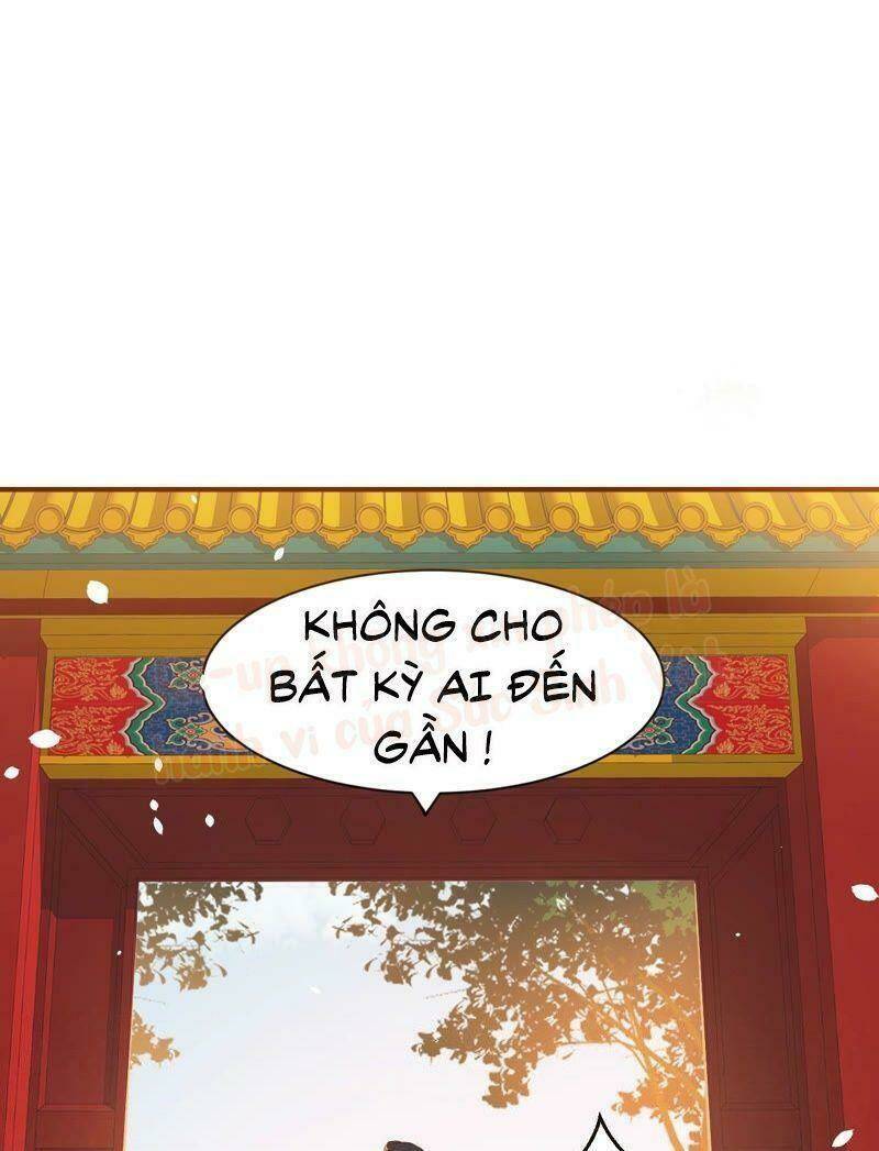 Quận Chúa Vững Vàng, Thiết Lập Nhân Vật Không Thể Vỡ: Chapter 1