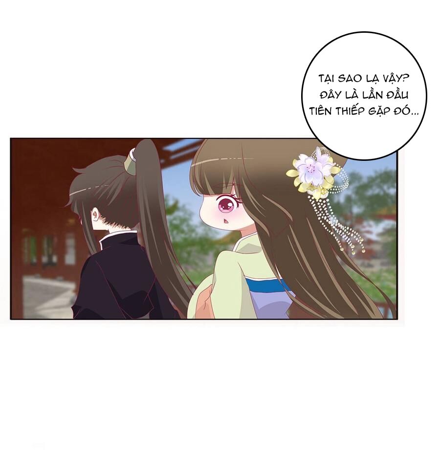 Thông Linh Phi: Chapter 552