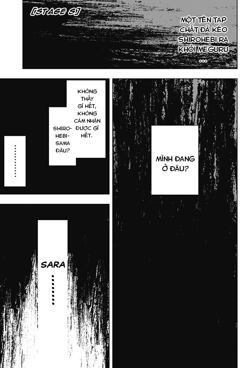 Stage S: Chapter 8