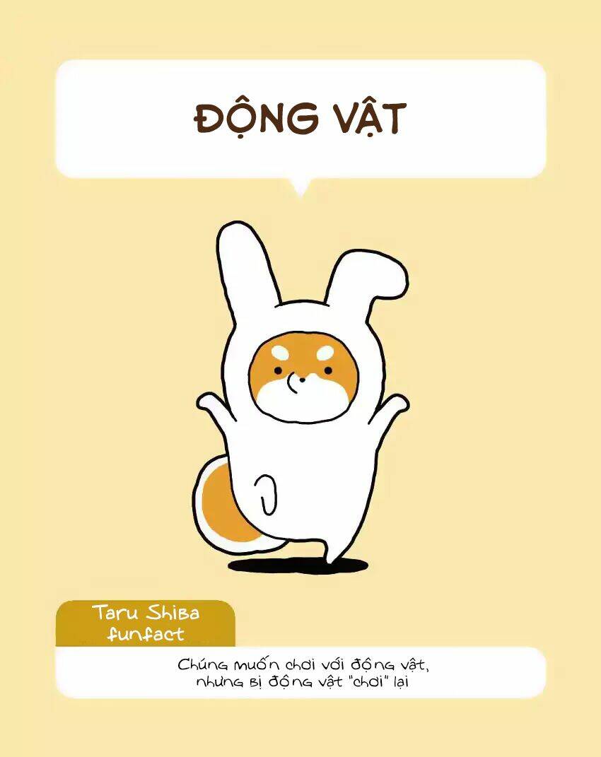 Taru Shiba: Chapter 4