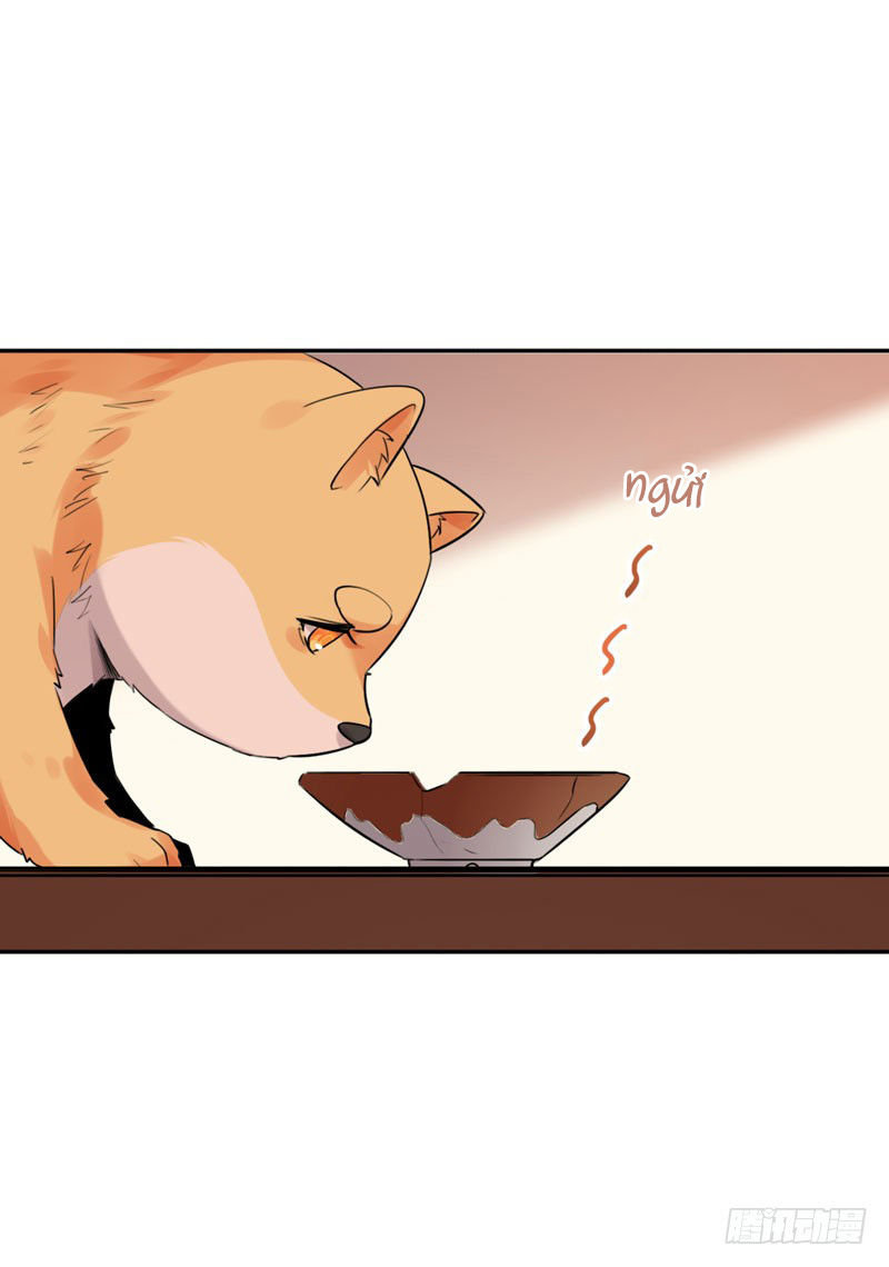 Lụ Đạn, Hôm Nay Lại Cũng Không Thể Biến Thành Người Được: Chapter 3