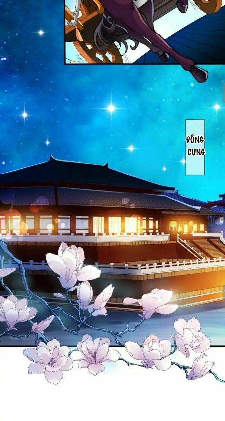 Thái Tử Điện Hạ Có Tin Vui: Chapter 3