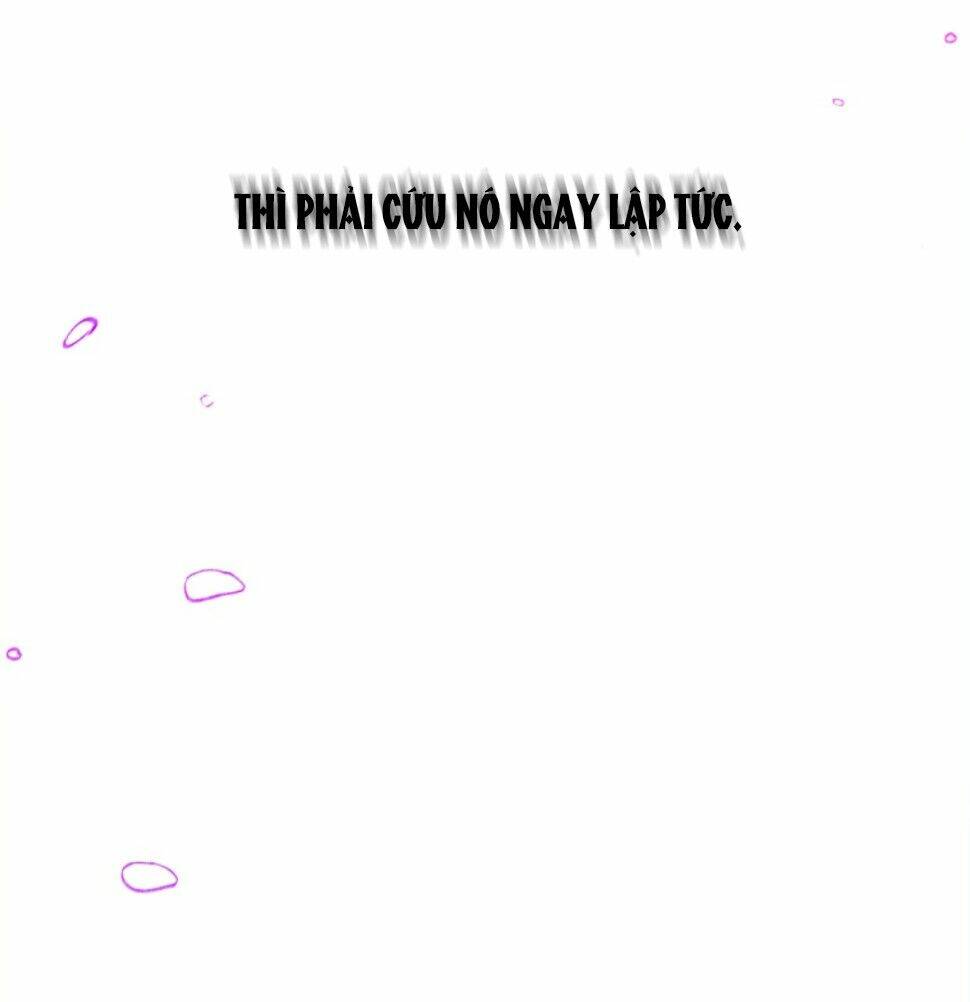 Nàng Elizabeth Thuần Khiết: Chapter 36