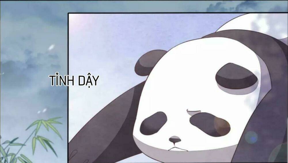 Xuyên Về Cổ Đại Làm Quốc Bảo: Chapter 4
