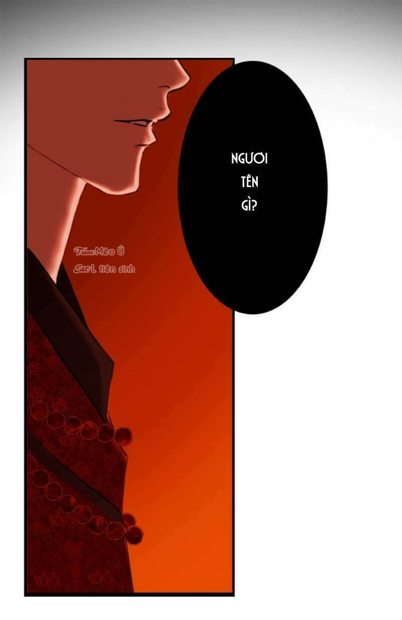 Lãnh Huyết Vương (King): Chapter 2