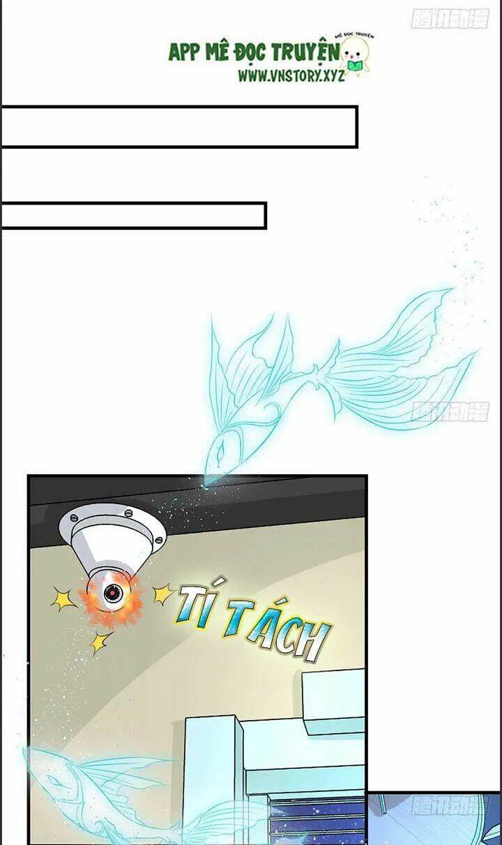 Cẩm Lý Thiếu Nữ Của Tôi: Chapter 43