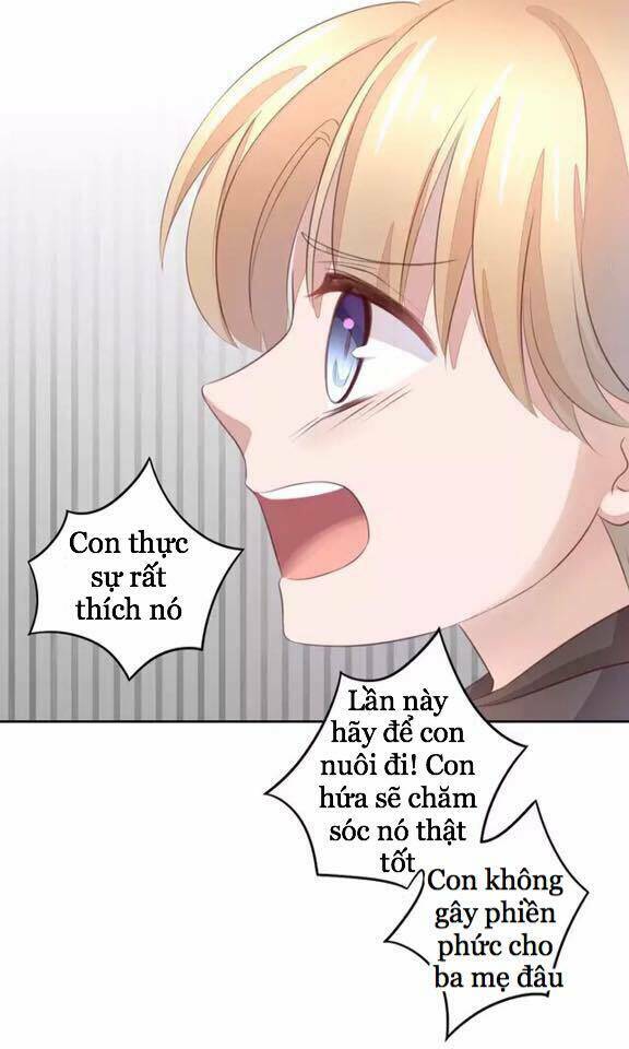 Dưới Móng Vuốt Mèo: Chapter 20