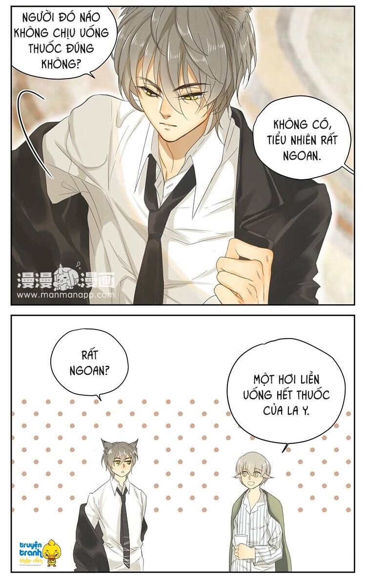 Cứu mạng ! Loài mèo thống trị thế giới rồi !: Chapter 15