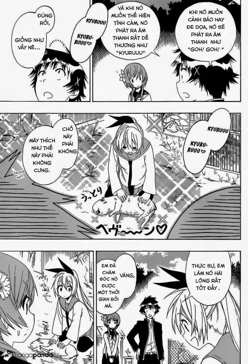 Tình Yêu Ngang Trái: Chapter 142