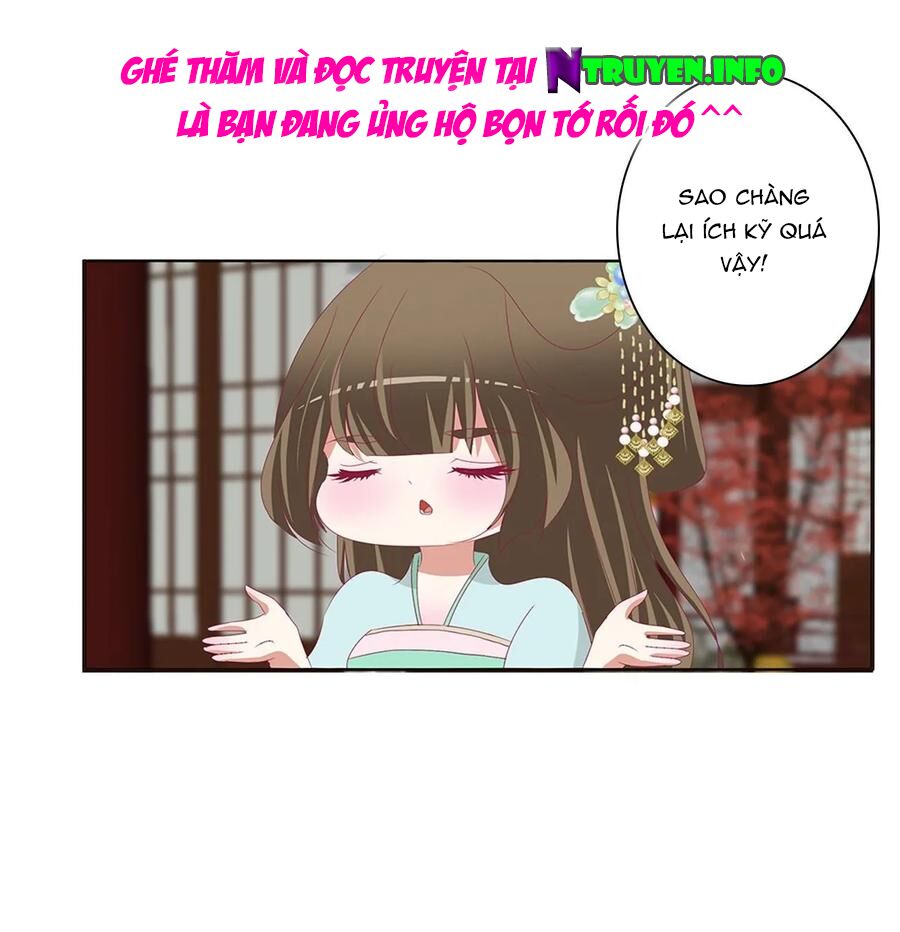 Thông Linh Phi: Chapter 608