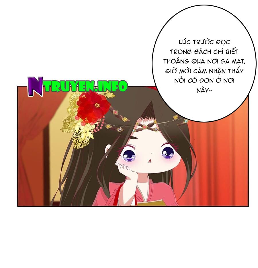 Thông Linh Phi: Chapter 556