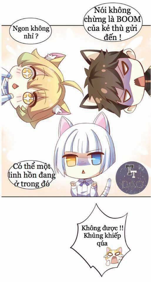 Dưới Móng Vuốt Mèo: Chapter 2