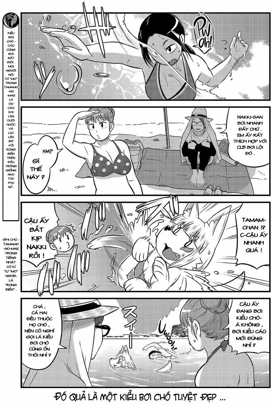 High School Inari Tamamo-Chan: Chapter 14