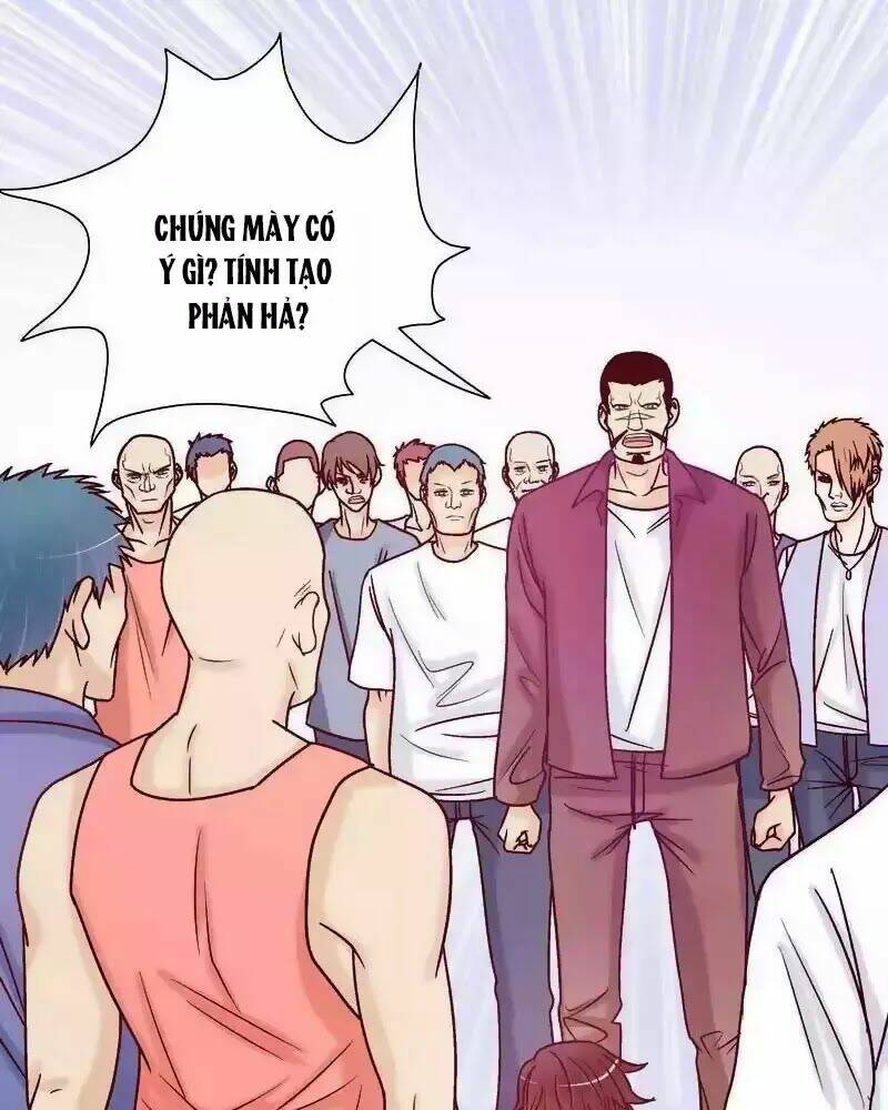 101 Phương Pháp Của Tổng Tài: Chapter 71